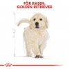 Royal Canin Breed Golden Retriever Junior