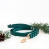 Tyylivoitto Hundkoppel Flätat Smaragdgrön 200 cm (16mm x 200cm)