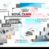 Royal Canin Giant Puppy torrfoder för hundvalp
