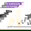 Royal Canin Sterilised Adult Loaf våtfoder för hund 12x85 g