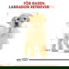Royal Canin Labrador Retriever Puppy torrfoder för hundvalp