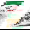 Royal Canin Mini Ageing Gravy våtfoder för hund 12x85g