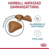 Royal Canin Hairball Care