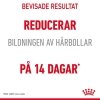 Royal Canin Hairball Care