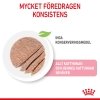 Royal Canin Mother & Babycat Mousse