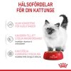 Royal Canin Kitten Gravy 12x85 g