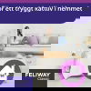 Feliway Classic Doftavgivare 48 ml
