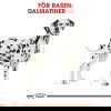 Royal Canin Dalmatian Adult torrfoder för hund 12 kg