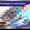 Feliway Optimum Doftavgivare