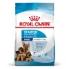 Royal Canin Maxi Starter torrfoder för hund och hundvalp