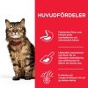 Hill&#39;s Science Plan Cat Adult Sensitive Stomach & Skin Chicken