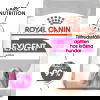 Royal Canin Exigent Mini Adult torrfoder för hund