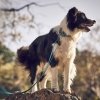 Rukka Bliss Polar Koppel Turkos