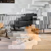 DogSpace Max 2-i-1 Hundgrind/Valphage Svart