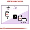 Royal Canin Sterilised Jelly 12x85 g