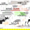 Royal Canin Digestive Care Adult Loaf våtfoder för hund 12x85 g