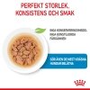 Royal Canin Mini Puppy 12x85g