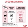 Royal Canin Mother & Babycat Mousse