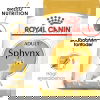 Royal Canin Sphynx Adult torrfoder för katt