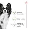 Royal Canin Dog X-Small Ageing +12