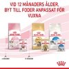 Royal Canin Kitten Gravy 12x85 g