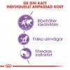 Royal Canin Sterilised Jelly 12x85 g