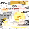 Royal Canin Maine Coon Adult Gravy våtfoder för katt 12 x 85 g