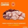 Schesir Cat Adult Born Carnivore Chicken & Egg