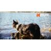 Non-stop Dogwear Rock Harness Hundsele Svart/Orange