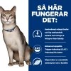 Hills Prescription Diet Feline k/d Kidney Care Tuna