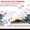 Royal Canin Veterinary Diets Cat Renal Select