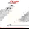 Royal Canin Maltese Adult torrfoder för hund