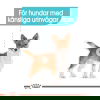 Royal Canin Urinary Care Mini Adult torrfoder för hund