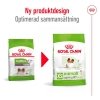 Royal Canin Dog X-Small Ageing +12