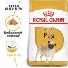 Royal Canin Breed Pug