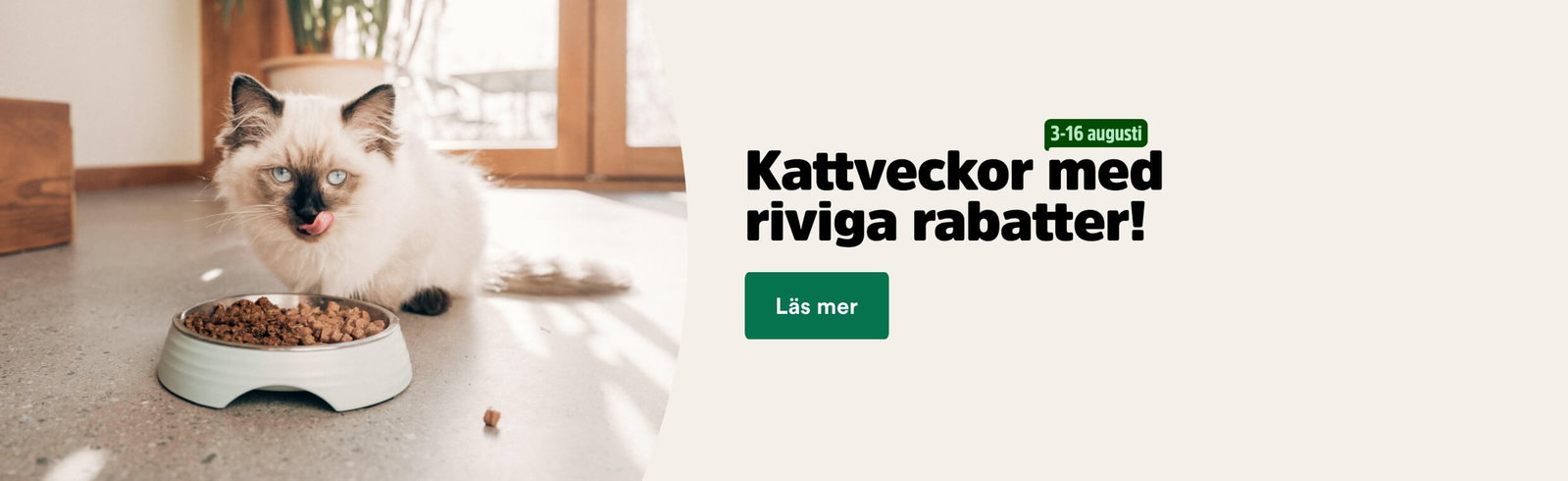 Kattveckor med riviga rabatter 3-16 augusti