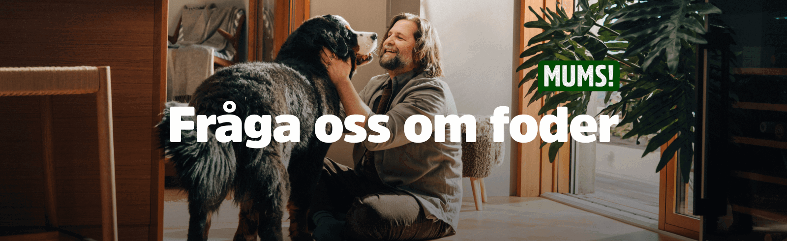 Arken Zoo Rätt foder för ditt husdjur toppbanner Fråga oss om foder
