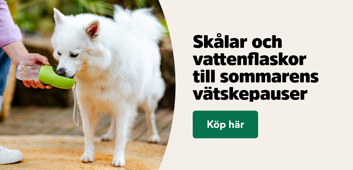 Sk&aring;lar och vattenflaskor till sommarens v&auml;tskepauser - se alla sk&aring;lar och fodertillbeh&ouml;r till hund