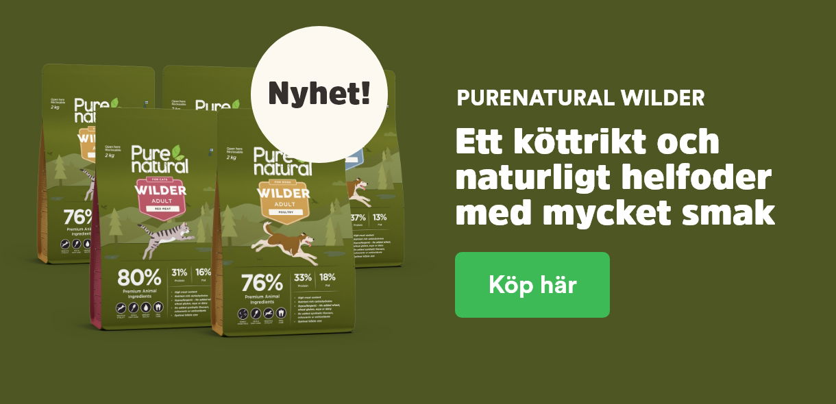 Nosa p&aring; nya Purenatural Wilder, k&ouml;ttrikt foder till hund och katt - till Purenatural