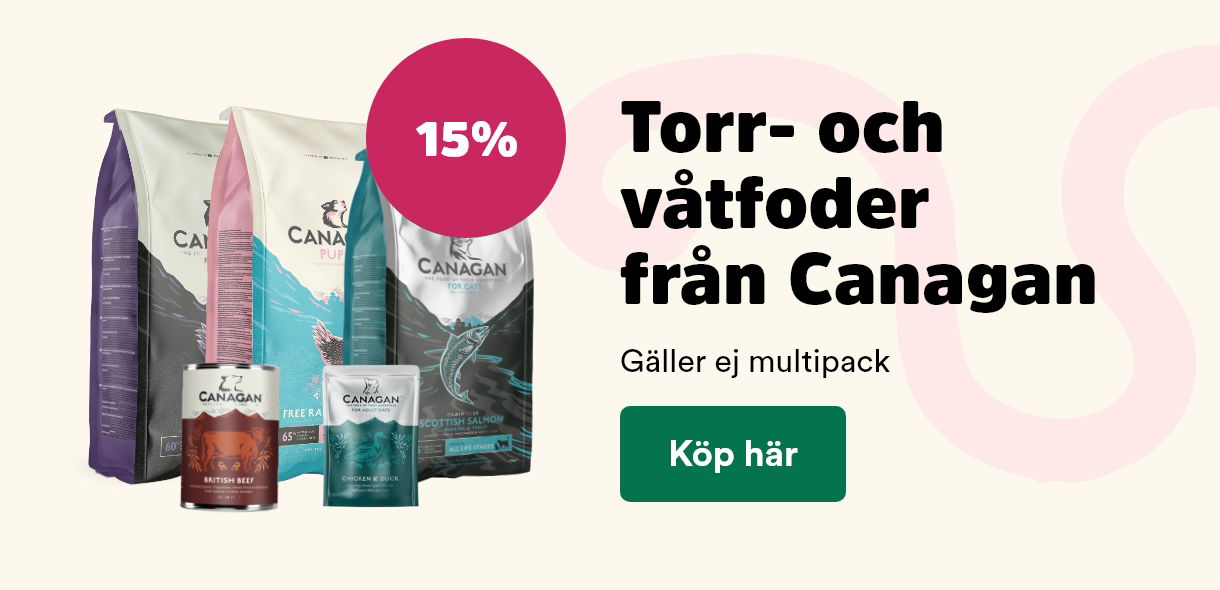 Arken Zoo Startsida K5 2025 Canagan