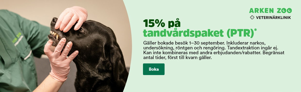 15% p&aring; tandv&aring;rdspaket (PTR). G&auml;ller bokade bes&ouml;k 1-30 september. Inkl. narkos, unders&ouml;kning, r&ouml;ntgen & reng&ouml;ring. Tandextraktion ing&aring;r ej. Begr&auml;nsat antal tider. Boka h&auml;r