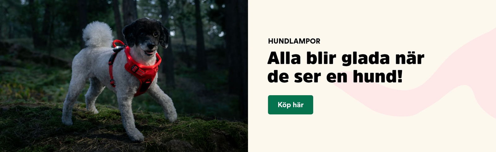 Hundlampor. Alla blir glada när de ser en hund! Köp här. Visas på Arken Zoo Start