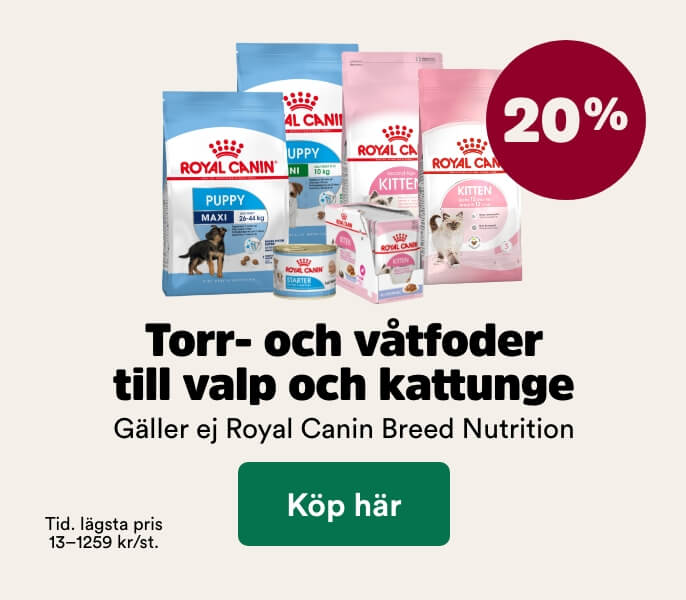 20% p&aring; Royal Canin foder till valp och kattunge t o m 30/8 - k&ouml;p h&auml;r