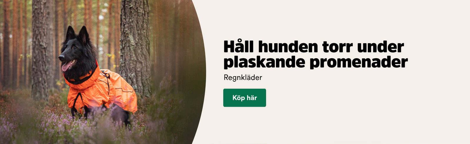 H&aring;ll hunden torr under plaskande promenader - till hundkl&auml;der