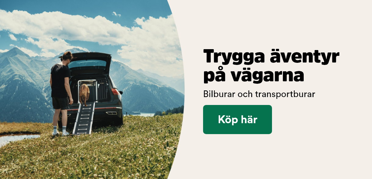 Trygga &auml;ventyr p&aring; v&auml;garna - k&ouml;p bilburar och transportburar h&auml;r