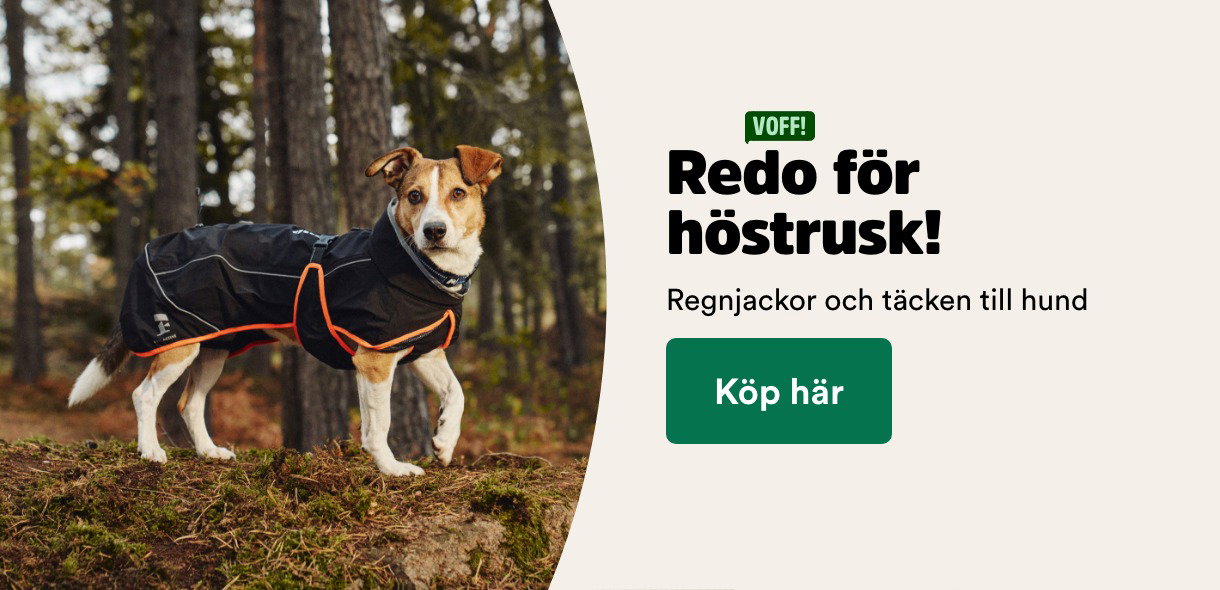 Redo f&ouml;r h&ouml;strusk med regnjackor och t&auml;cken till hund - visa produkter