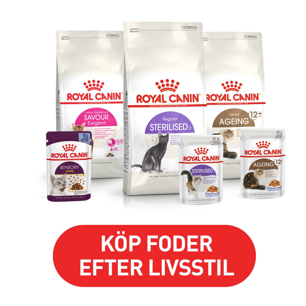 Arken Zoo Royal Canin Feline Health Nutrition