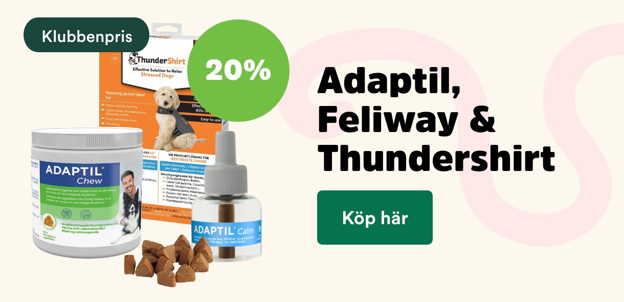 Arken Zoo Startsida Augusti 2025 Klubben: 20% på Adaptil,  Feliway & Thundershirt