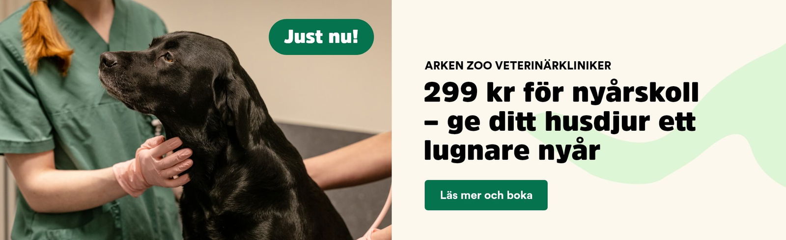 299 kr för en nyårskontroll på Arken Zoo Veterinärkliniker 1-30/11 2025 Läs mer