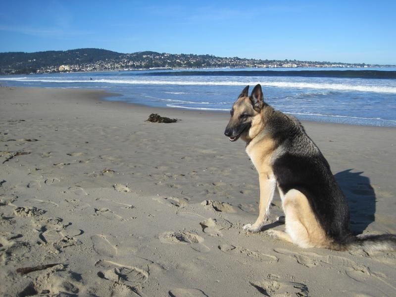 39/my-beach-bum-39.jpg